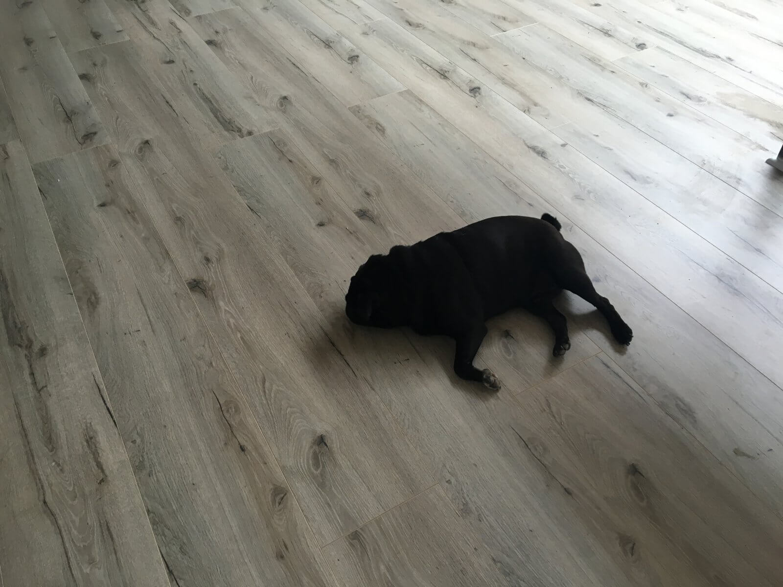 grey laminate flooring for your home