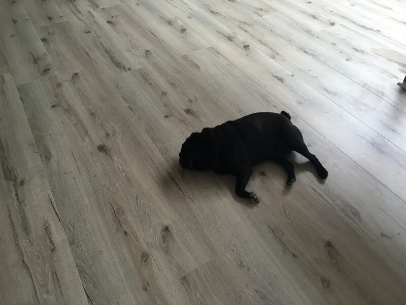 grey laminate flooring for your home