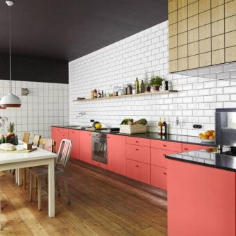 Coral in the kitchen