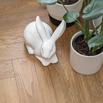 Herringbone Oak Randburg