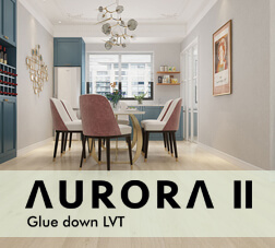 Aurora ll