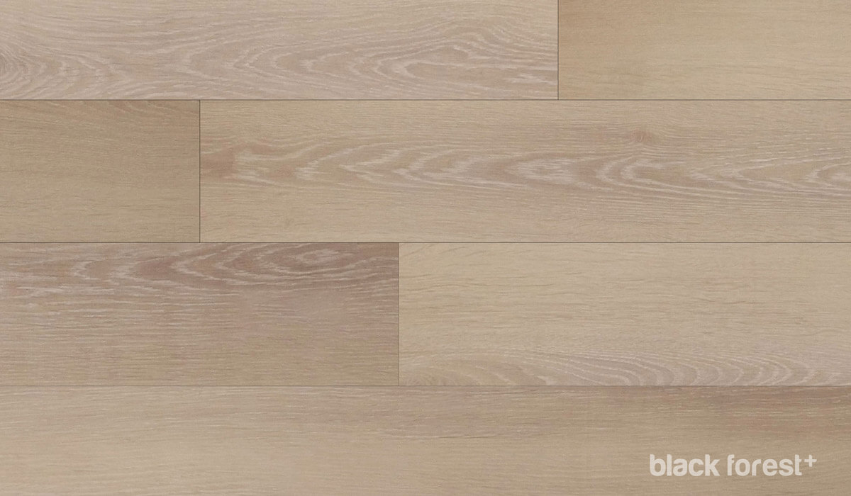 Black-forest+wych-elm